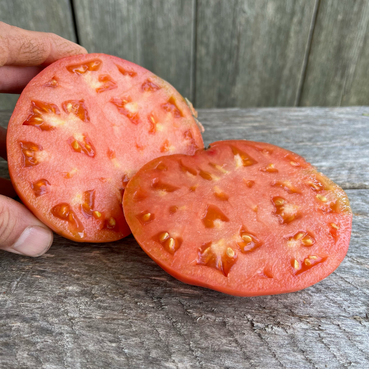 Ferris Wheel Tomato – Revival Seeds