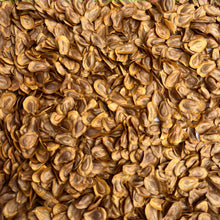 Native Swamp Milkweed