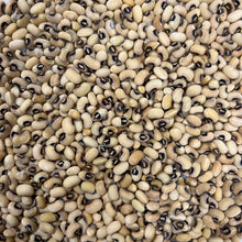 Cowpea of Veneto (Italian) Bush Bean