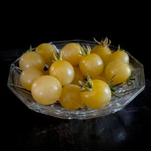 Honey Lemon Cherry Tomato
