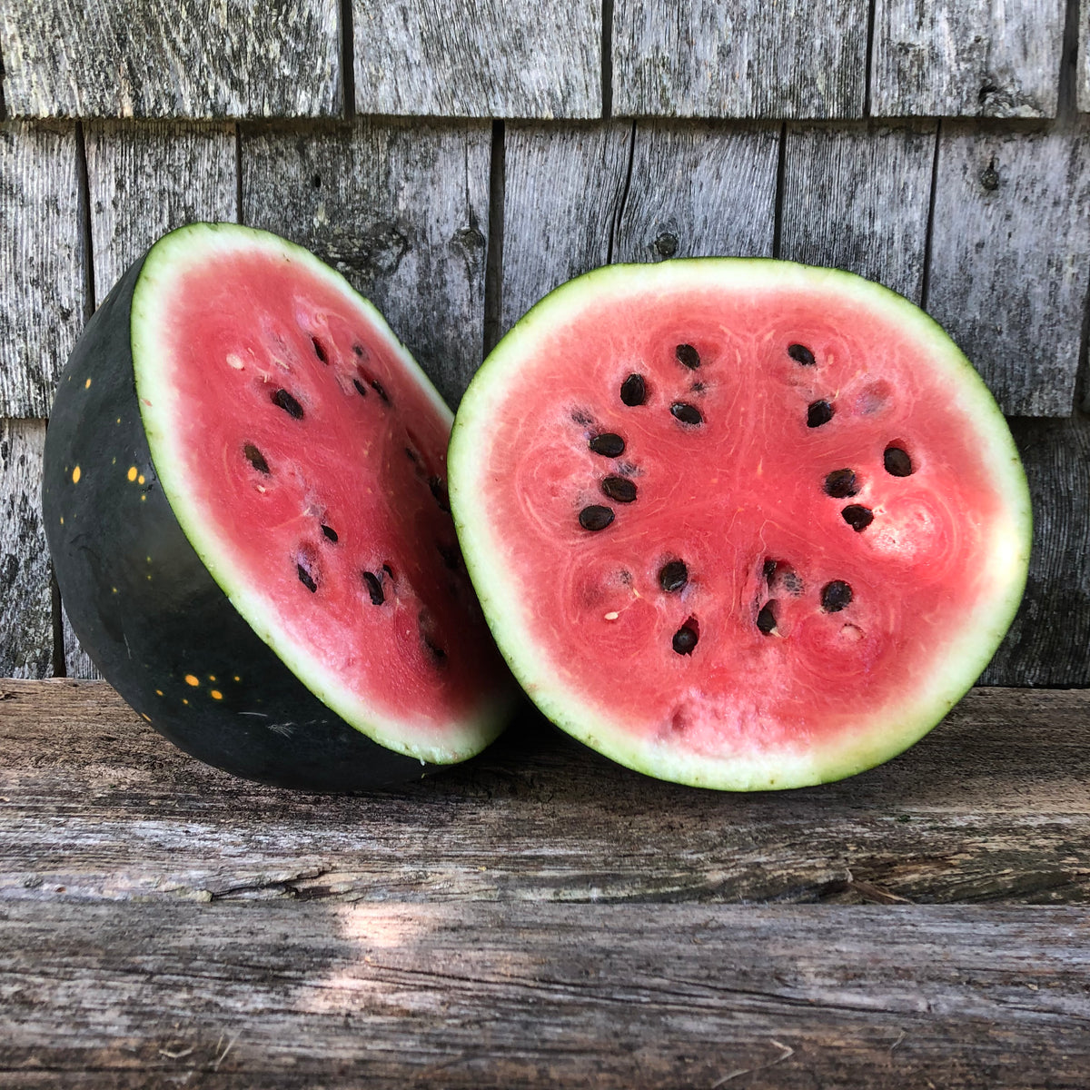 Watermelons – Revival Seeds