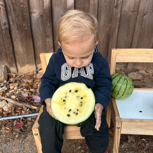 Cream of Saskatchewan Watermelon