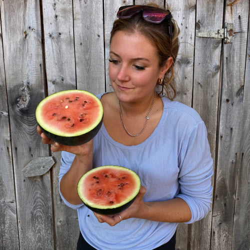 Blacktail Mountain Watermelon