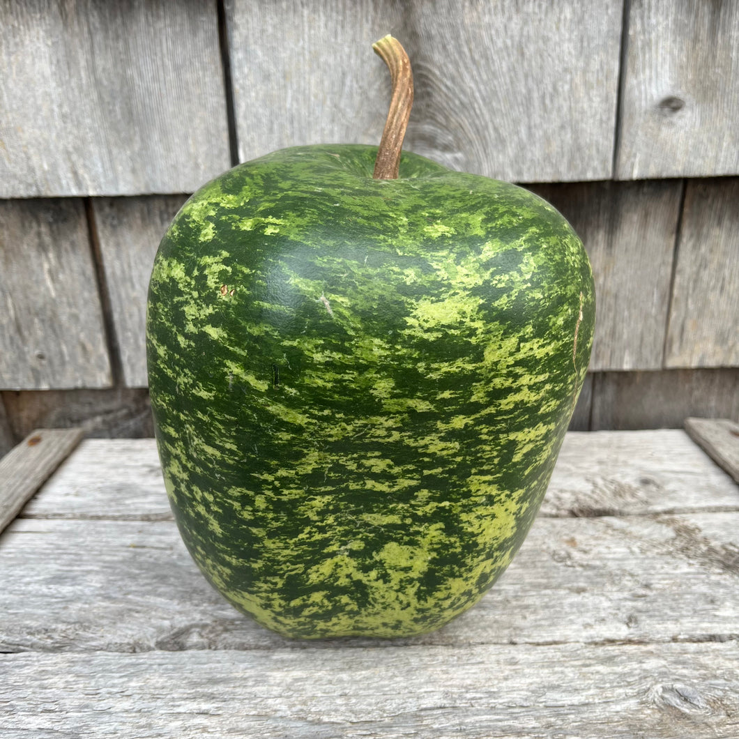 Apple Gourd