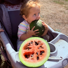 Arikara Watermelon