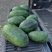 Art Combe's Ancient Watermelon