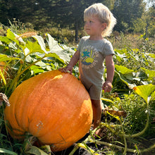 Atlantic Giant Pumpkin ' Howard Dill Strain'