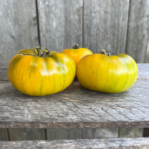 Azoychka Yellow Tomato