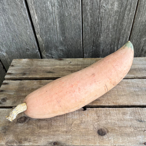 Banana Squash