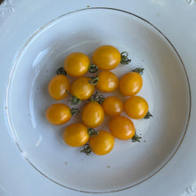 Blondkopfchen Cherry Tomato