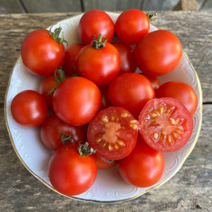 Chadwick's (Camp Joy) Cherry Tomato