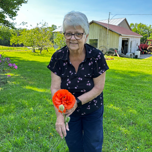 Connie’s Oriental Poppy