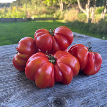 Heirloom Tomato