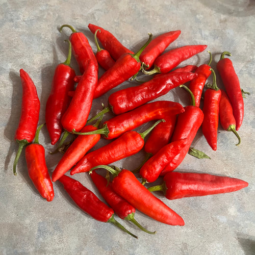 Fish Hot Pepper