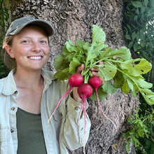 German Giant Radish (Stuttgart Red)