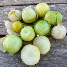 Giant Green Tomatillo