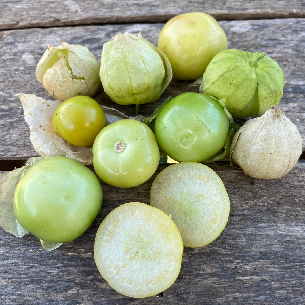 Giant Green Tomatillo