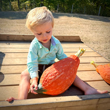 Golden Hubbard Squash