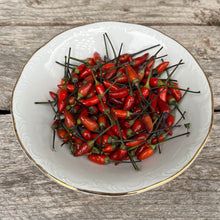 Great Depression Hot Pepper