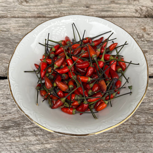 Great Depression Hot Pepper