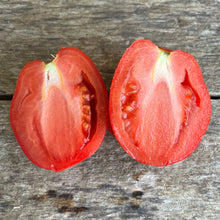 Polish Paste Tomato
