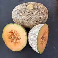 Iroquois Melon