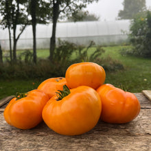 Kellogg's Breakfast Tomato