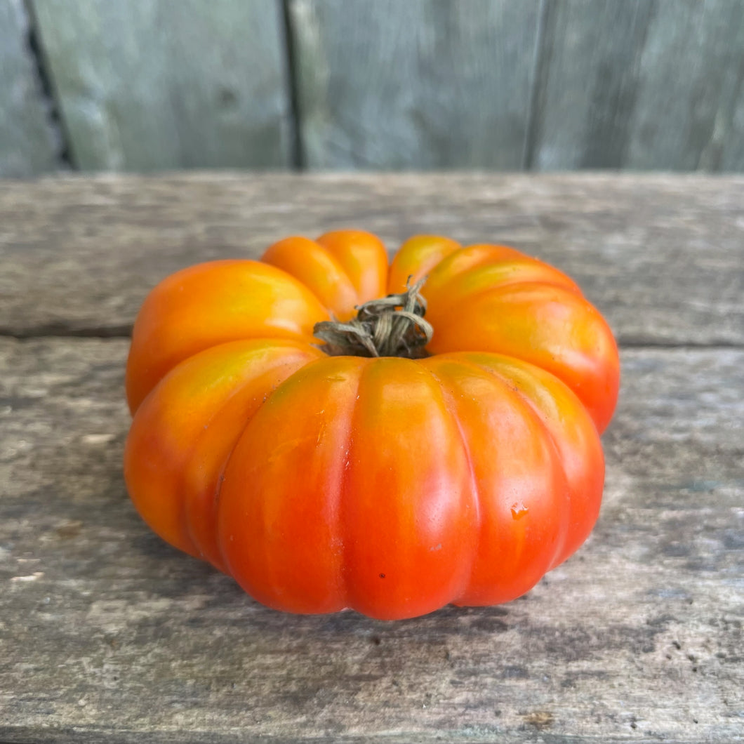 Marvel Stripe Tomato