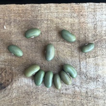 Mbombo Dry Bush Bean