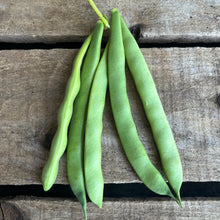 Mbombo Dry Bush Bean