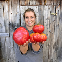 Mortgage Lifter Tomato