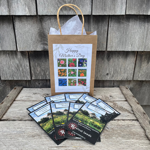 Mother's Day Gift Bag