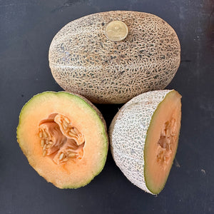 Old Time Tennessee Muskmelon