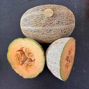 Old Time Tennessee Muskmelon – Revival Seeds Old Time Tennessee Muskmelon – Revival Seeds
