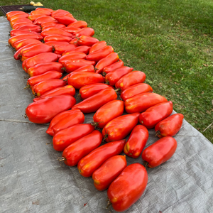 Opalka Paste Tomato