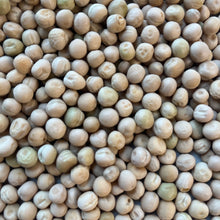 Osayo Endo Snack Pea