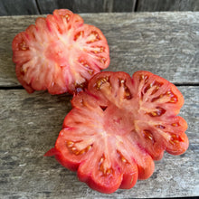 Oxacan Pink Tomato