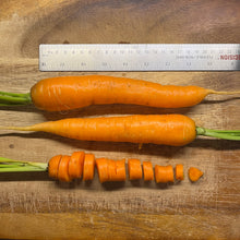 Papa Earl's Scarlet Nantes Carrot
