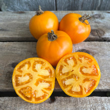 Persimmon Tomato