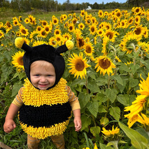 Pollinator Collection