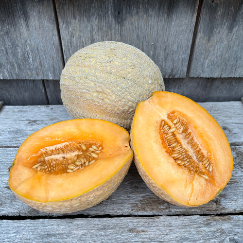 Pride of Wisconsin Melon