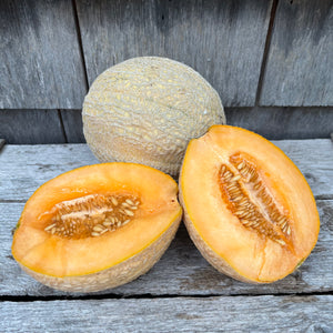 Pride of Wisconsin Melon