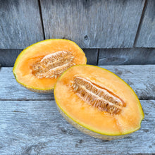 Pride of Wisconsin Melon