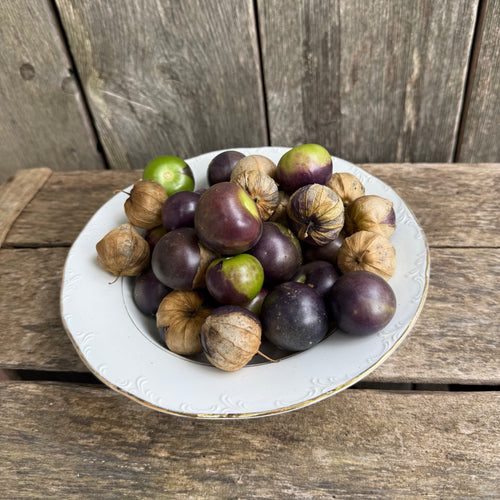 Purple de Milpa Tomatillo