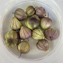 Purple de Milpa Tomatillo