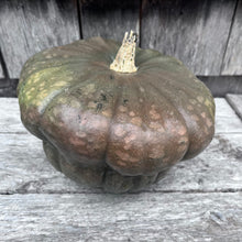 Queensland Blue Squash