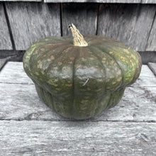 Queensland Blue Squash