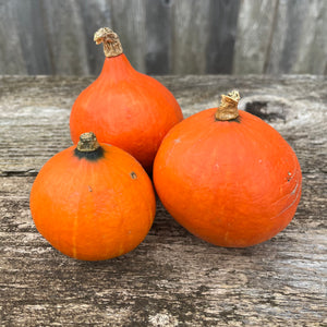 Red Kuri (Hokkaido) Squash