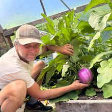 Rosa Bianca Eggplant