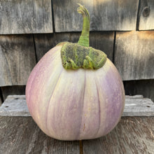 Rosa Bianca Eggplant